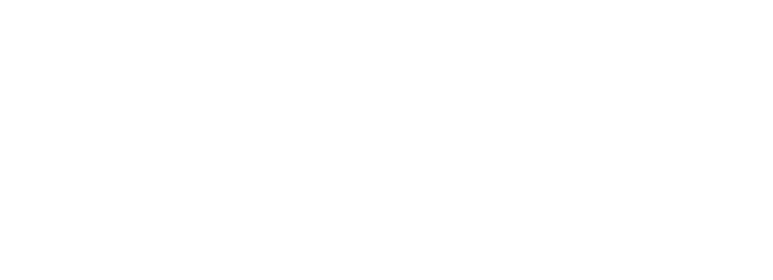 Gemeenskapsfees